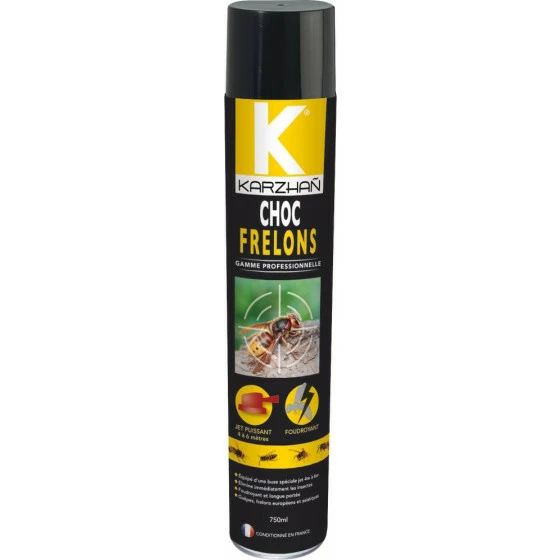 Aerosol Pacar Frelon 1l KARZHAN - 10058 1 Aerosol Pacar Frelon 1l KARZHAN - 10058